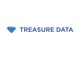 treasure-data9799